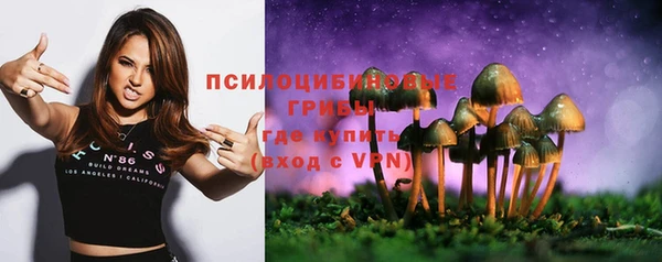 бошки Богородицк