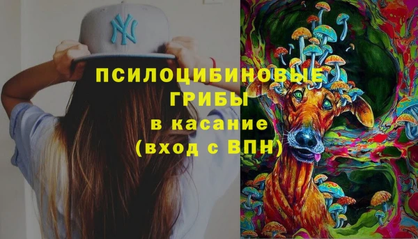 мдма Богданович