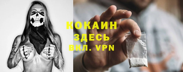 бошки Богородицк