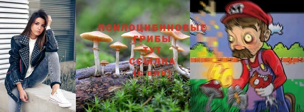 мдма Богданович