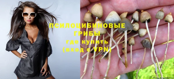 jwh Бугульма